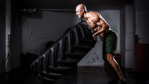 Creating an Environment for Muscle Gain